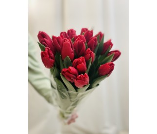 Красные тюльпаны 