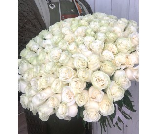 Букет белых роз № 485